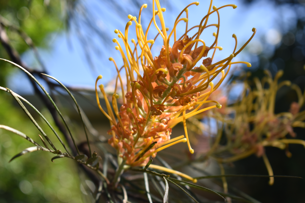 The need for&nbsp;innovation